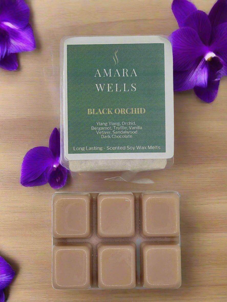 The Mystic Woods Collection - Amara Wells